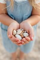 Child holding a collection of seashells in both hands, showcasing various shapes and colors, with sandy beach background, evoking a sense of joy and discovery in nature photo
