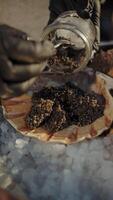 Black caviar served in scallop shell on crushed ice video