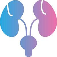 Bladder Bright Tone Visual vector
