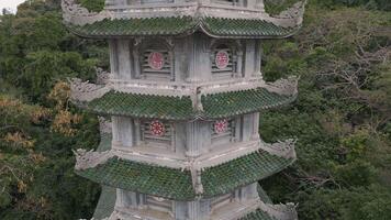Beautiful pagoda surrounded by lush greenery in a serene setting video