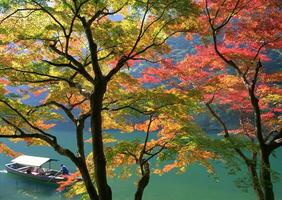 Boat is floating on the water near some trees photo