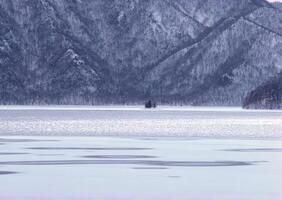 a lone tree in the middle of a frozen lake photo