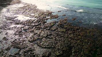 The drone slowly spills along the seabed exposed by the low tide during the soft sunny color off the coast of France against the backdrop of the beauty of the waves. video