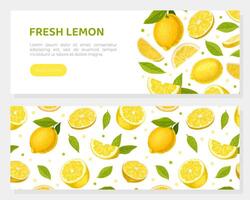 Bright Yellow Lemon Citrus Fruit with Green Leaf Web Banner Template vector