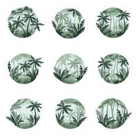 Set of jungle landscapes with palm trees and plants in mist. Tropical scenery in geometric round shape design illustration vector