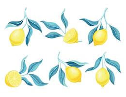 Set of lemon tree branches with ripe tropical fruits and green leaves illustration vector