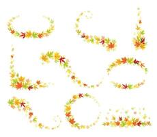 Maple Palmate Leaves of Bright Autumn Colour Arranged in Decorative Swirling Line Set vector
