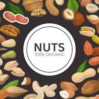 Nuts with Cashew and Almond Scattered on Black Background Card Template vector