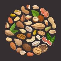 Nuts with Cashew and Almond Arranged in Circle Template vector