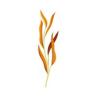 Plant twig with orange narrow leaves illustration vector
