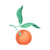 Peach tree branch with ripe juicy fruit and leaves illustration vector