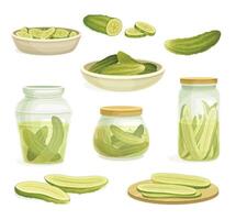 Homemade Pickled Cucumber or Gherkin Canned in Brine and Rested on Plate Set vector