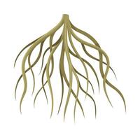 Root of tree, underground stem, rootstalk. Botany or dendrology design element illustration vector