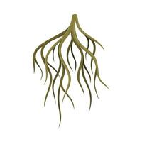 Root system, underground stem, rootstalk. Botany or dendrology design element illustration vector