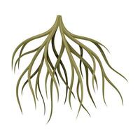 Root tree system, underground stem or rootstalk. Botany or dendrology design element illustration vector