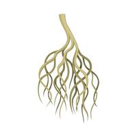 Tree rootstalk, bush or shrub underground stem. Botany or dendrology design element illustration vector