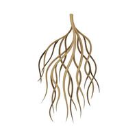 Root of plant, underground stem, rootstalk of tree or bush. Botany or dendrology design element illustration vector