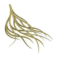 Root of tree, underground stem. Botany or dendrology design element illustration vector