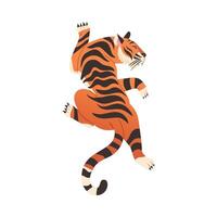 Crouching or hunting tiger. View from above of big wild cat illustration vector