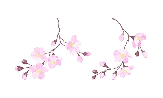 Blooming cherry branches set. Sakura twigs with pink flower buds illustration