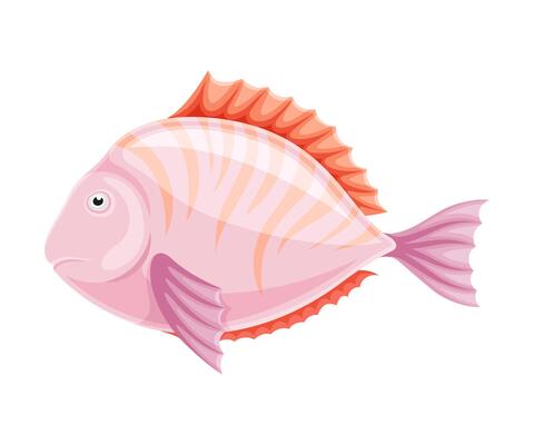 Marine tropical exotic pink fish illustration on white background