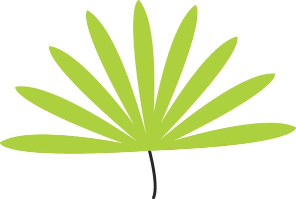 Minimalist Palm Leaf