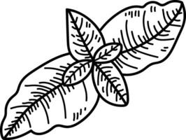 Intricate Leaf Pattern Sketch vector