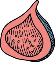 Hand-Drawn Fig Slice Sketch Style vector