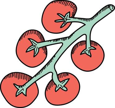 Tomato Branch with Simple Lines vector