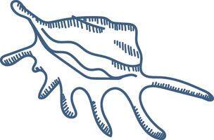 Seashell Marine Sketch vector