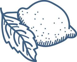 Lemon with Leaf Line Drawing vector