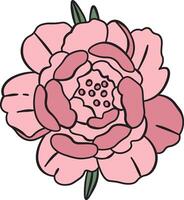 Peony Flower Sketch vector
