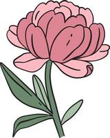 Elegant Peony with Leaves vector