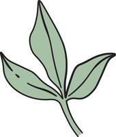 Simple Peony Leaf Drawing vector