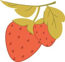Strawberries with Leaves vector