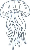 Jellyfish Line Drawing vector