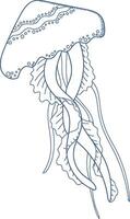 Elegant Jellyfish Line Drawing vector