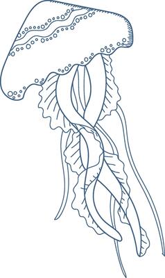 Elegant Jellyfish Line Drawing