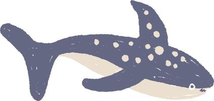 Crayon Whale Shark vector