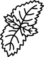 Outline of Mint Leaves vector
