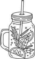 Mason Jar with Citrus and Herbs Sketch vector