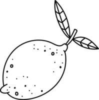 Lemon with Leaves Sketch vector