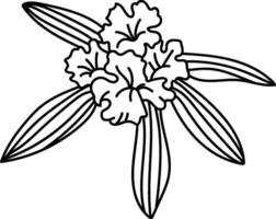Floral Outline Design with Leaves vector