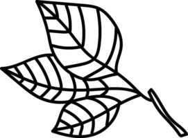 Leaves Branch Sketch vector