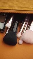 Makeup brushes arranged neatly in a storage pouch video