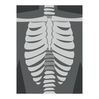 Roentgenograph of Spine and Back Bone Image vector