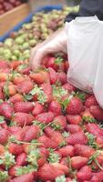 Fresh strawberries are collected at a local market video