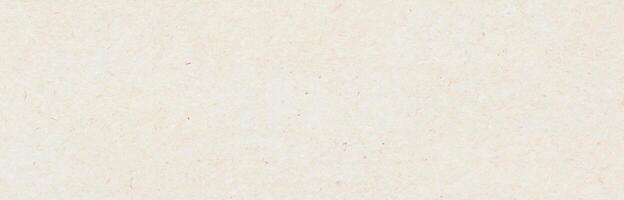 Light Beige Recycled Paper Texture Background photo