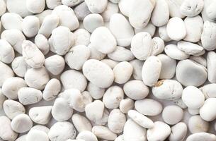 Smooth white pebbles stone texture background in full frame photo