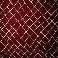 A red and white rug with a grid pattern photo